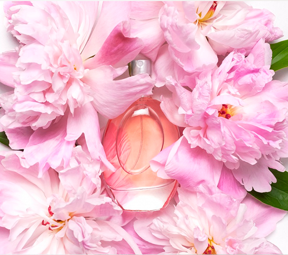 Perfume importado feminino: compre os melhores | Buy Beauty