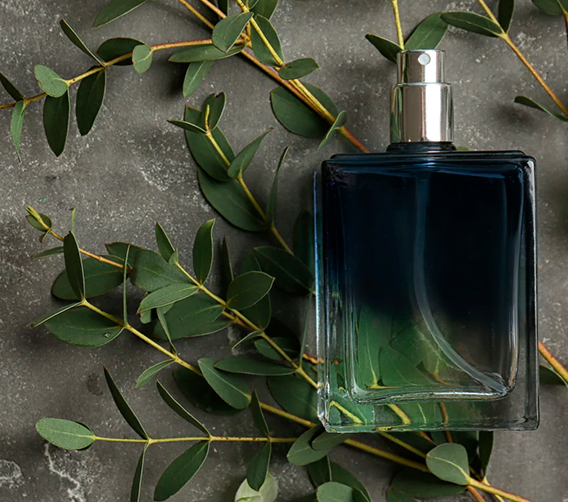 Perfumes masculinos para noite: opções marcantes para eles | Buy Beauty