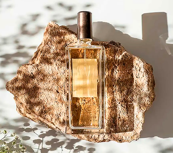 Perfumes para o outono: encontre aqui | Buy Beauty